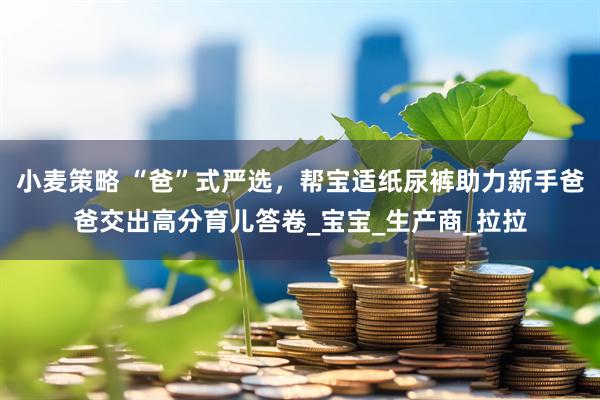 小麦策略 “爸”式严选，帮宝适纸尿裤助力新手爸爸交出高分育儿答卷_宝宝_生产商_拉拉