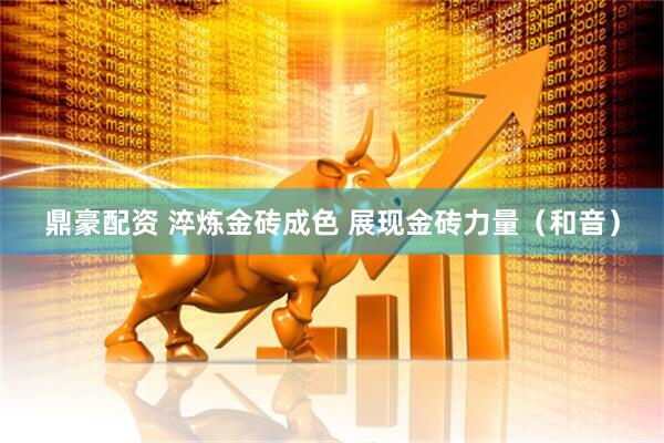 鼎豪配资 淬炼金砖成色 展现金砖力量（和音）