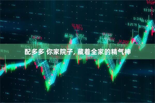 配多多 你家院子, 藏着全家的精气神